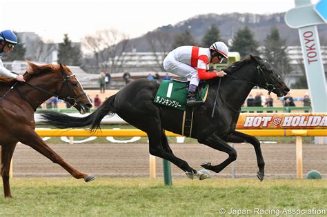 Japan Horse Racing Live .